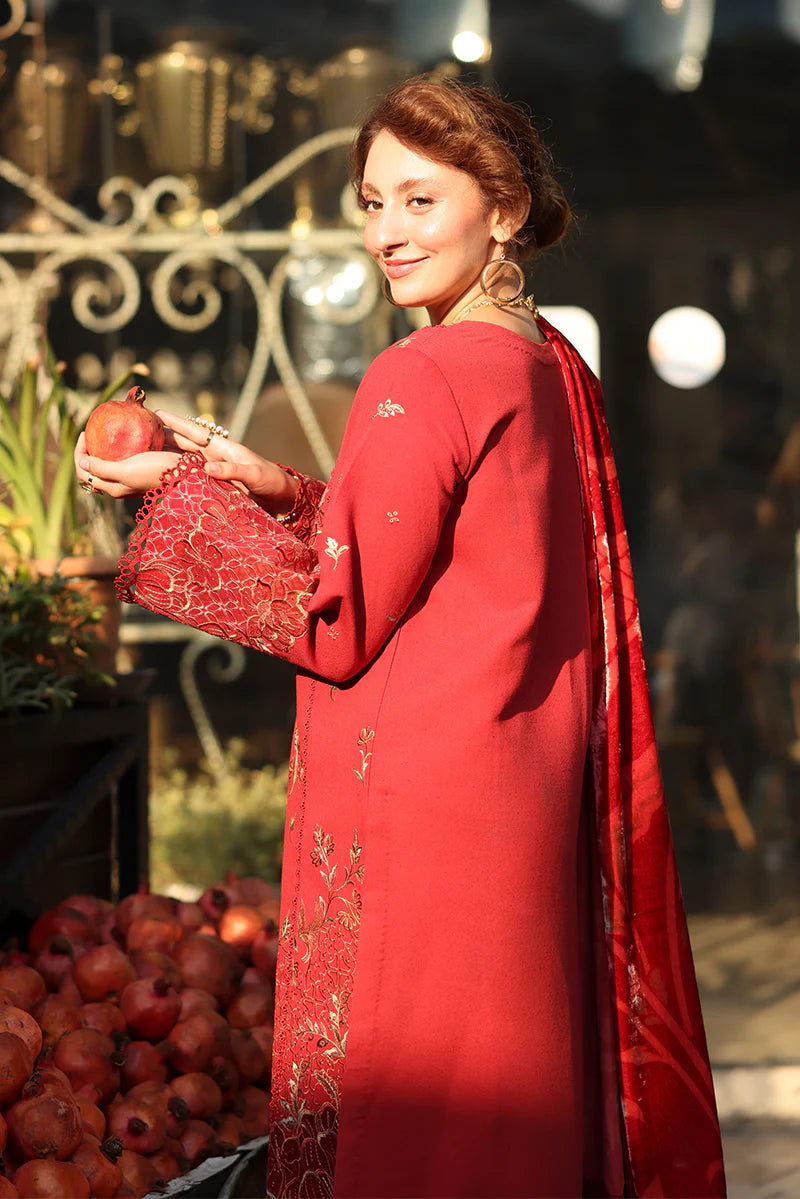 Cold Brew - Rang Rasiya Cold Brew - Rang Rasiya