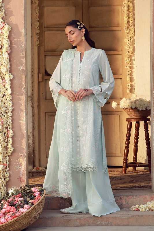 Mist Of Marrakech | CK-26-V2-03 - SAHAR FESTIVE EDIT