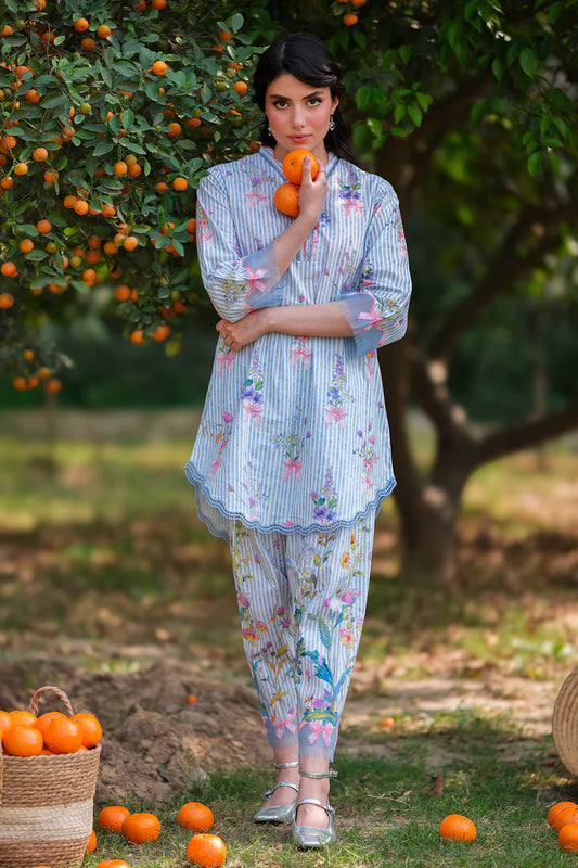 Blue Petal Drift | Sahar ready to wear 2 Pc