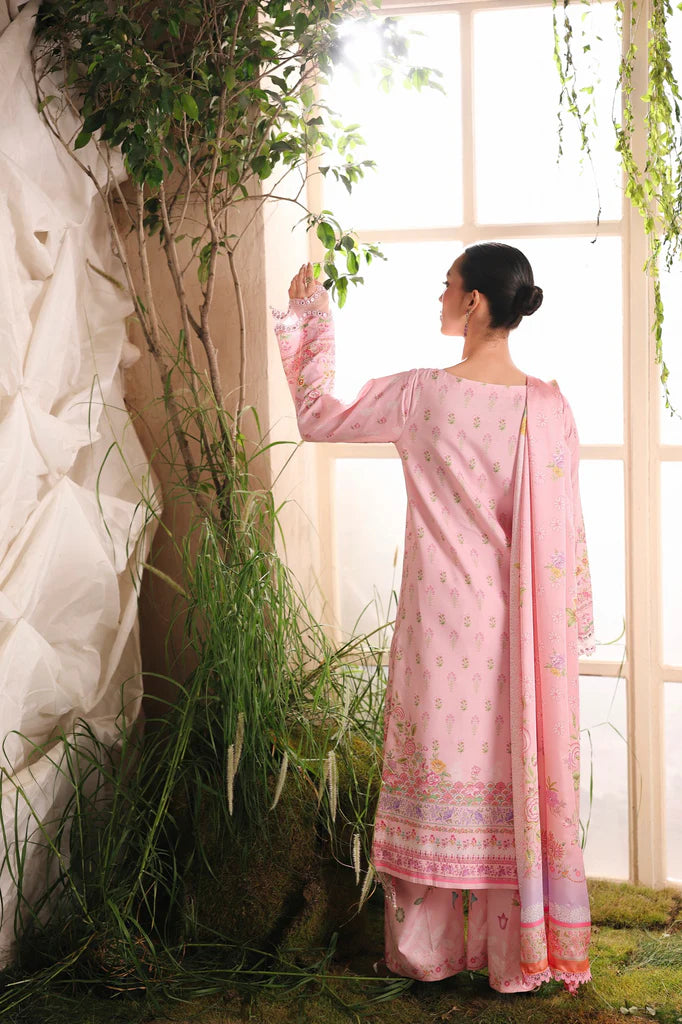 Silah Silk Edit - 01 - Rajbari