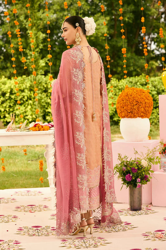 Alizeh Timeless Unstitched Zari Net Dress AF-ZN-2218-Sitara