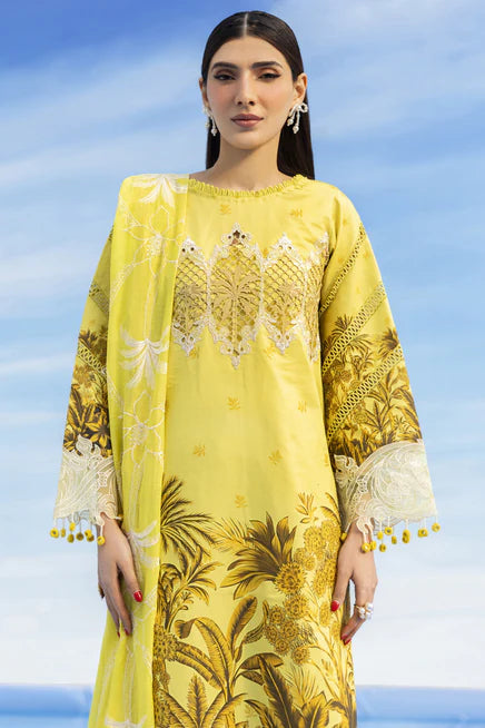 IB-15 | 3 PC LAWN - Parishay