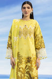 IB-15 | 3 PC LAWN - Parishay