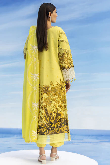 IB-15 | 3 PC LAWN - Parishay