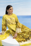 IB-15 | 3 PC LAWN - Parishay