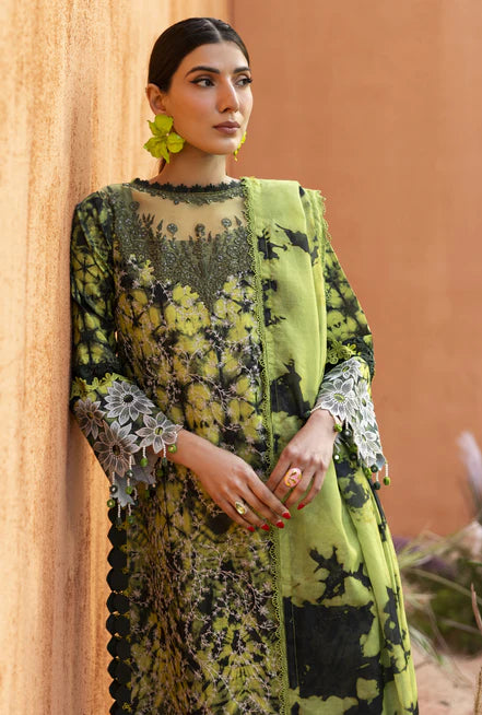 IB-04 | 3 PC LAWN - Parishay