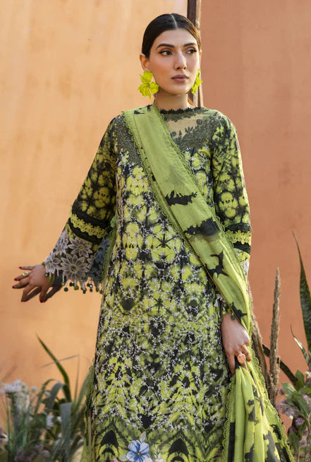 IB-04 | 3 PC LAWN - Parishay