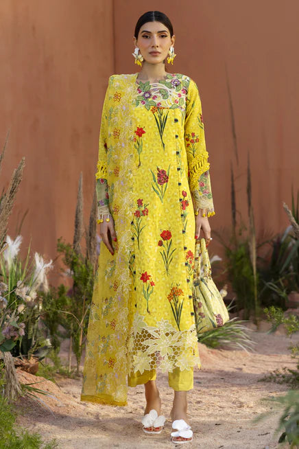 IB-09 | 3 PC LAWN - Parishay