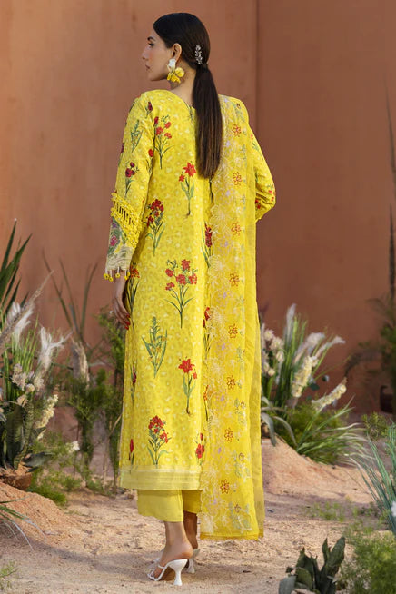 IB-09 | 3 PC LAWN - Parishay