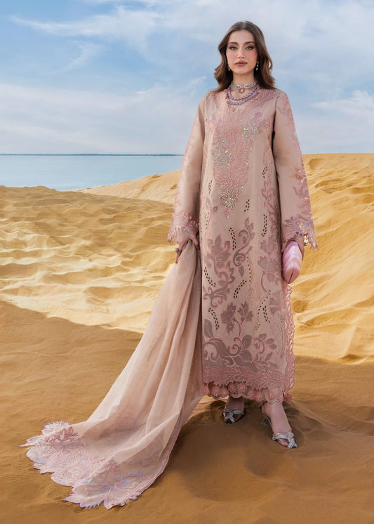 Elaheh - Rang Rasiya Premium Collection 2026