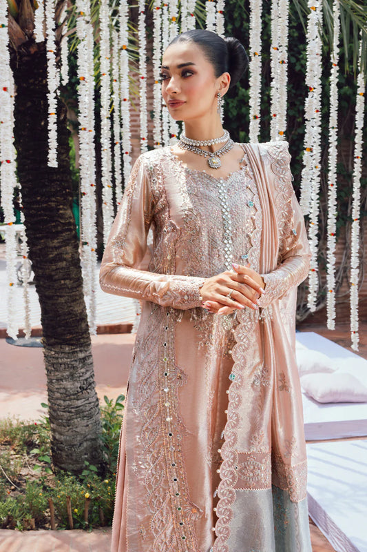 Nayab - Pink Handwork Embroidered Zari Organza Luxury Formal Unstitched Suit | Rang Rasiya