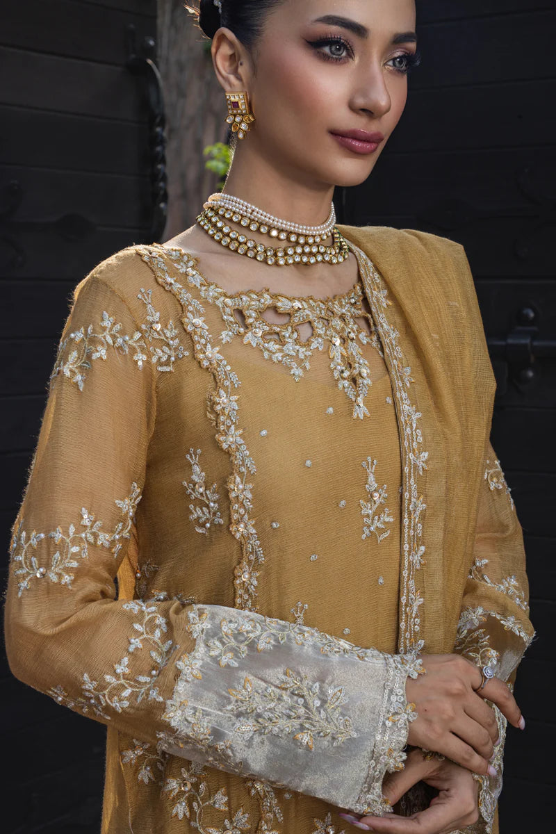 Misha - Rang Rasiya