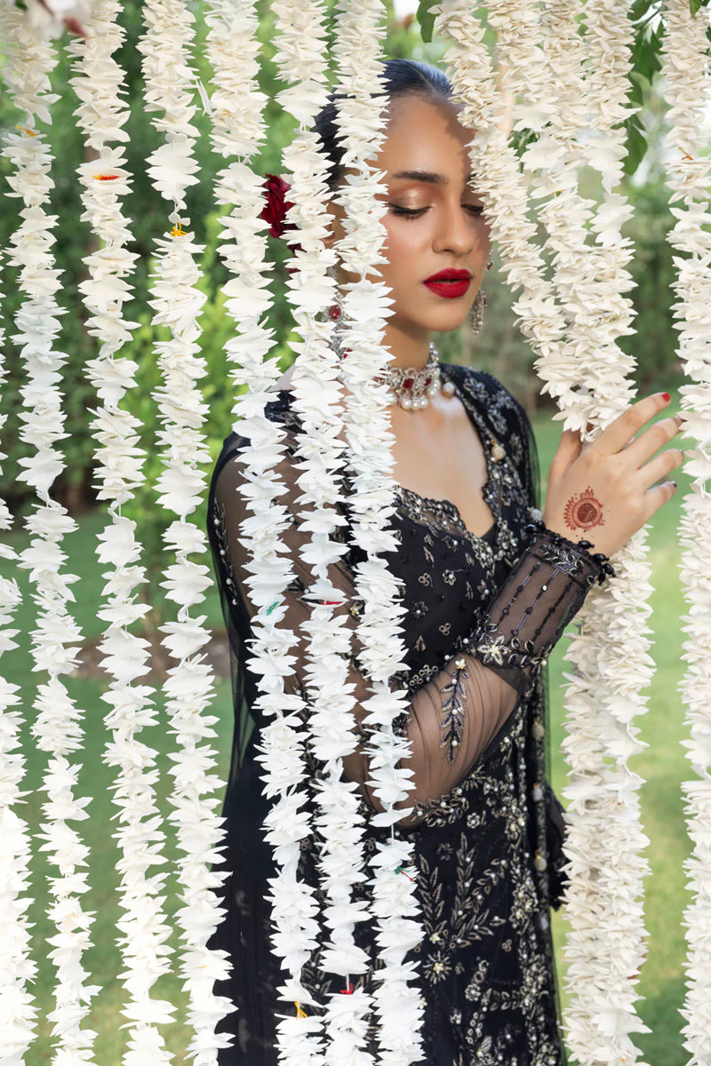 Natasha - Rang Rasiya