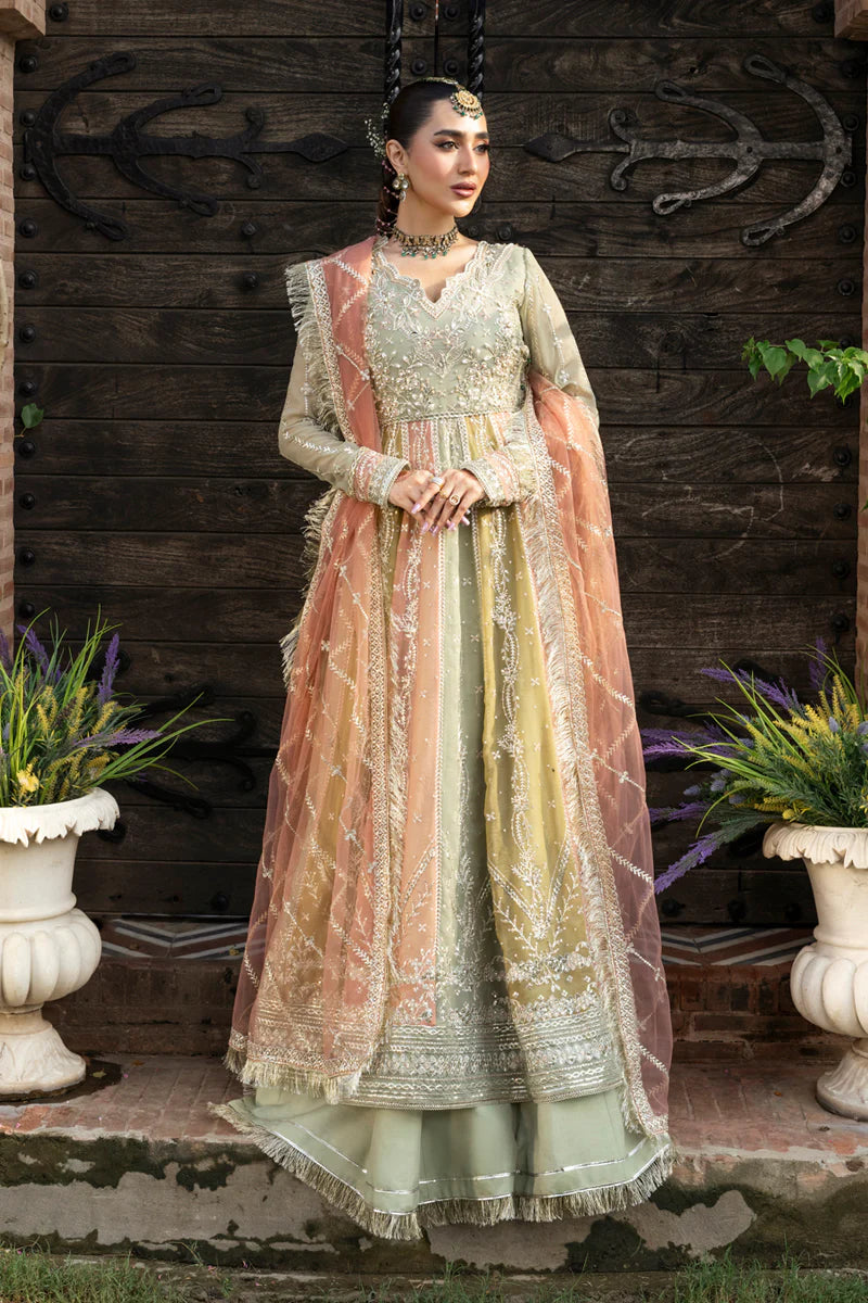 Amil - Rang Rasiya