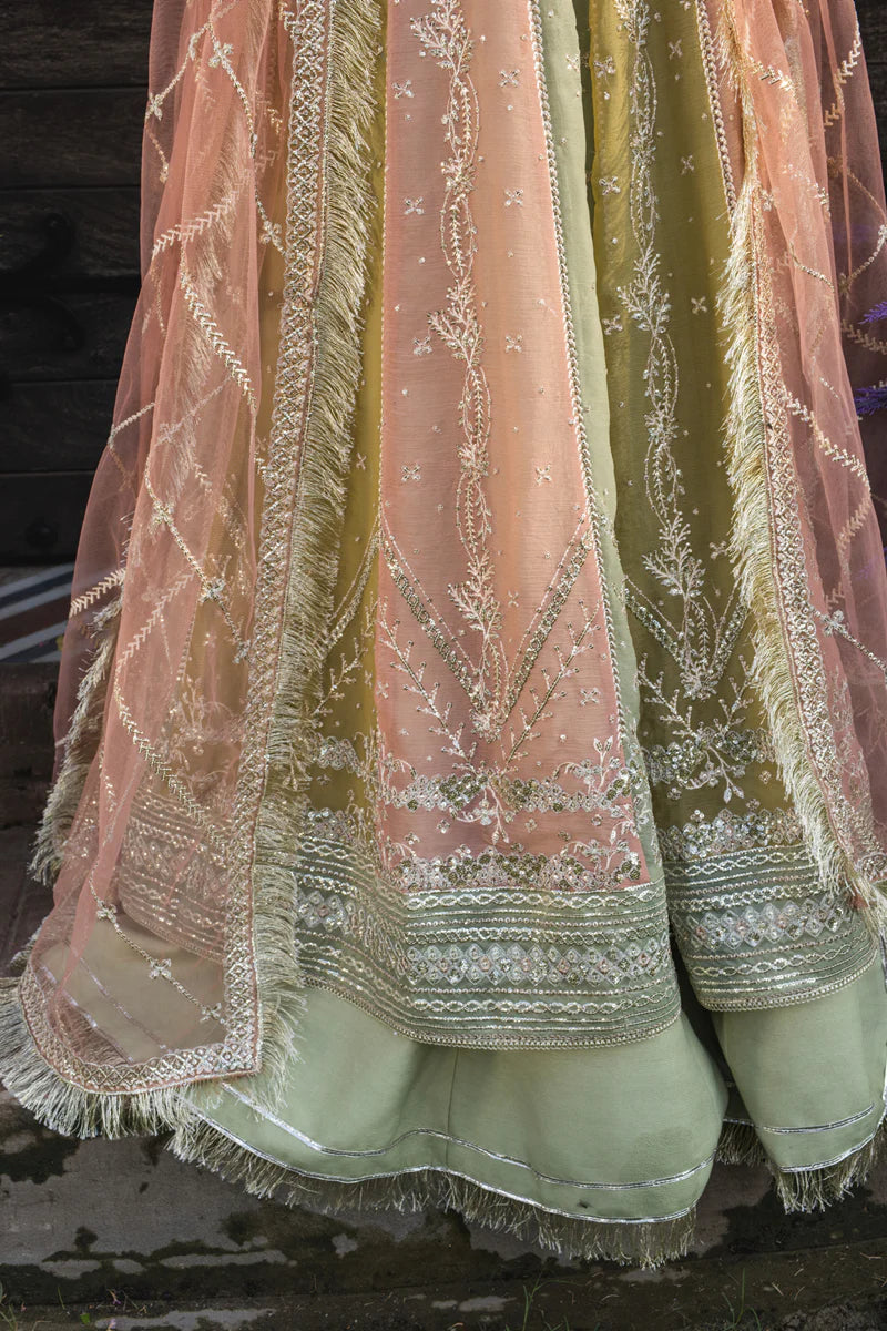 Amil - Rang Rasiya