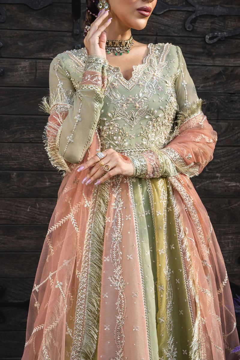 Amil - Rang Rasiya