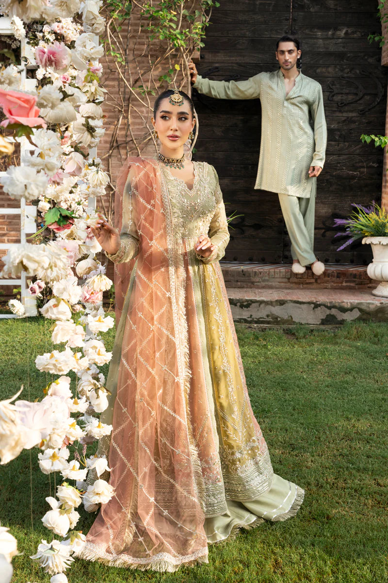 Amil - Rang Rasiya