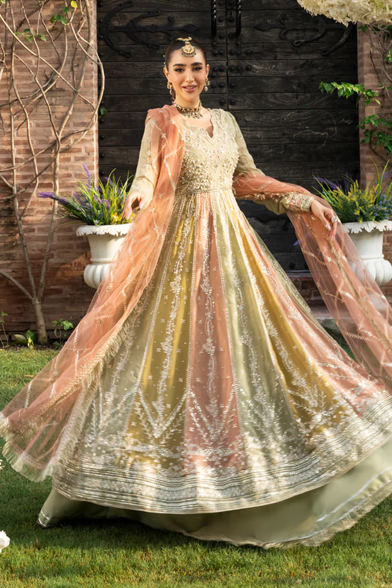 Amil - Rang Rasiya