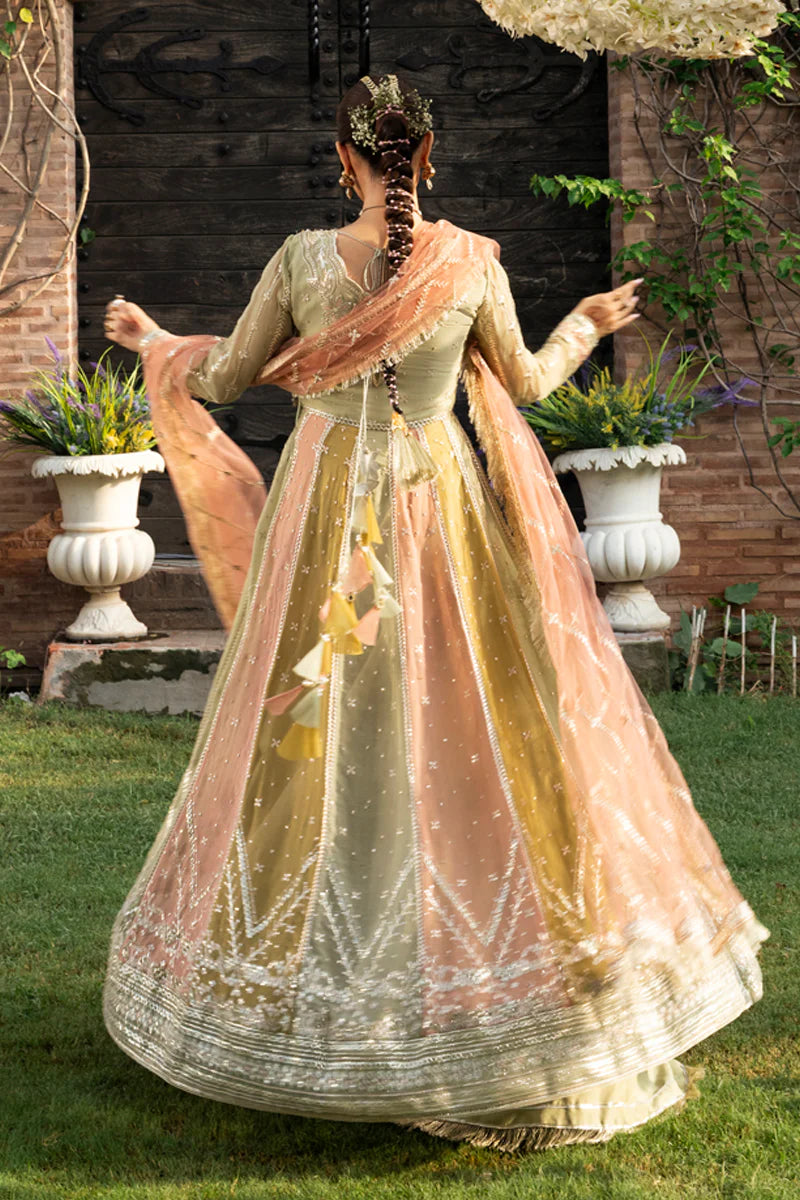 Amil - Rang Rasiya