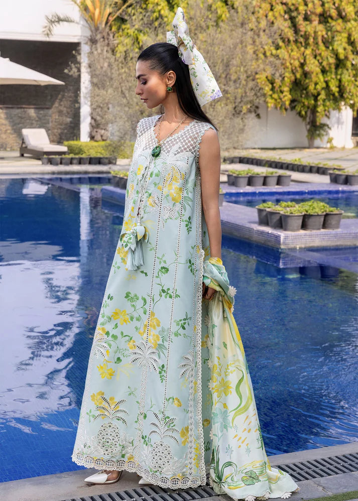 Torpic Tease - D4B | FLOW BY CRIMSON 26