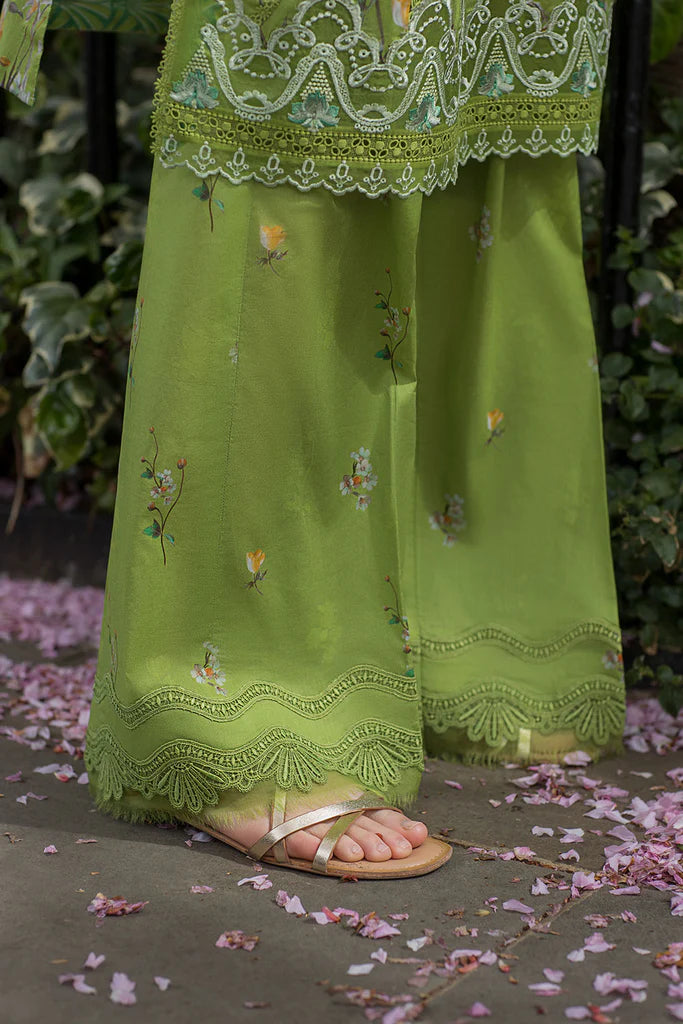 Design 3A SN Basics 2025 UNSTITCHED - Sobia