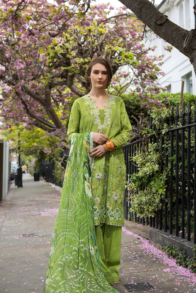 Design 3A SN Basics 2025 UNSTITCHED - Sobia
