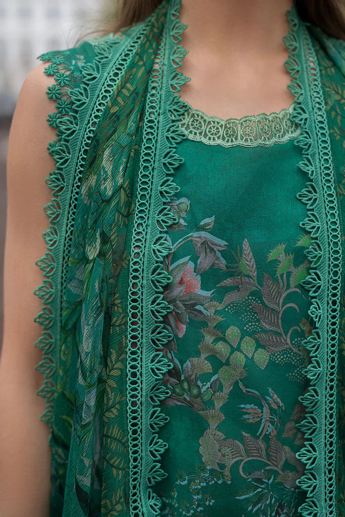 Design 5B SN Basics 2025 UNSTITCHED - Sobia
