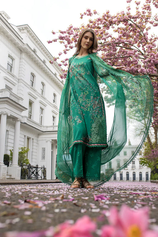 Design 5B SN Basics 2025 UNSTITCHED - Sobia