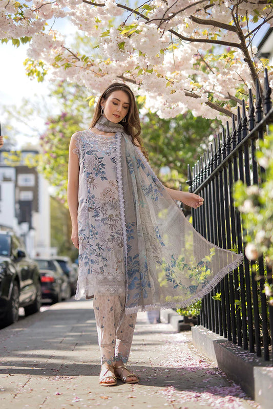 Design 6B SN Basics 2025 UNSTITCHED - Sobia