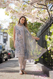 Design 6B SN Basics 2025 UNSTITCHED - Sobia