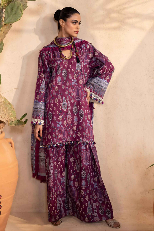 Design - 04 - Sana Safinaz