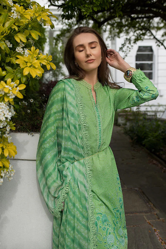 Design 7B SN Basics 2025 UNSTITCHED - Sobia