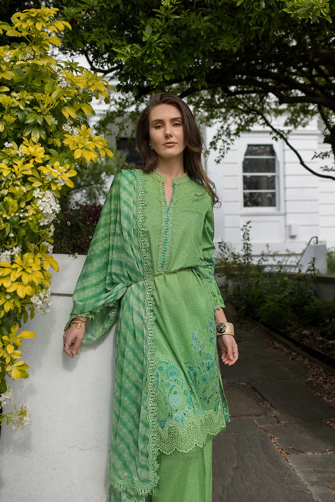 Design 7B SN Basics 2025 UNSTITCHED - Sobia