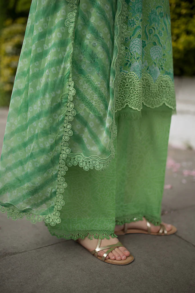 Design 7B SN Basics 2025 UNSTITCHED - Sobia