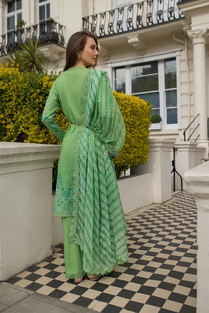Design 7B SN Basics 2025 UNSTITCHED - Sobia