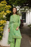 Design 7B SN Basics 2025 UNSTITCHED - Sobia