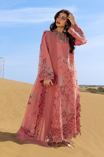 Amani - Rang Rasiya