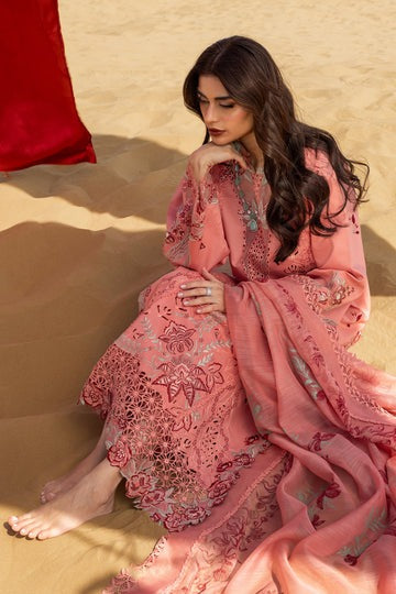 Amani - Rang Rasiya