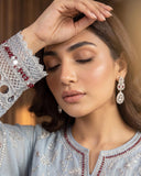 D-11801 - DILKASH BY RAIKHTA 3 Piece Stitched Embroidered Organza