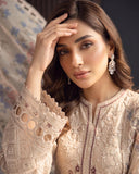 D-11803 - DILKASH BY RAIKHTA 3 Piece Stitched Embroidered Organza