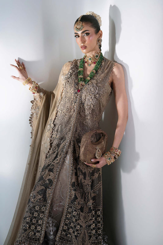 3 Piece Unstitched Embroidered Chiffon MARIA B MBROIDERED Suit | D-2