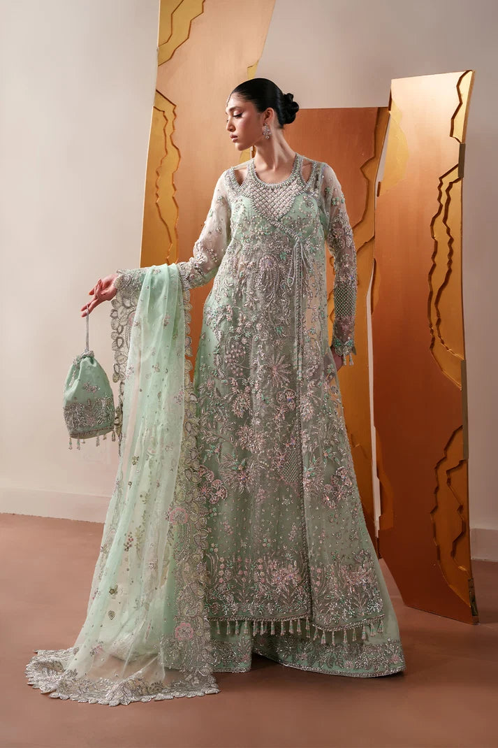 Moonstone Gleam - Emaan Adeel