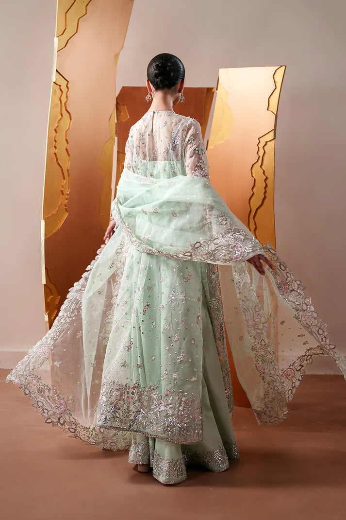 Moonstone Gleam - Emaan Adeel