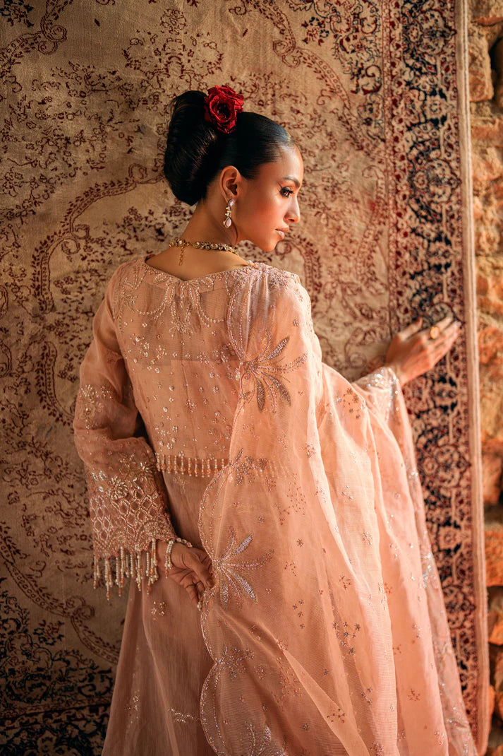 NARGIS - Florent