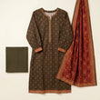 Bin-Saeed 3 Piece Printed Stitched Khaddar | KD-21
