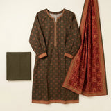 Bin-Saeed 3 Piece Printed Stitched Khaddar | KD-21