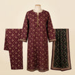 Bin-Saeed 3 Piece Printed Stitched Khaddar | KD-25
