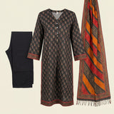 Bin-Saeed 3 Piece Printed Stitched Khaddar | KD-24