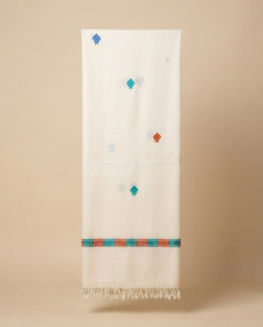 Attractive Sawati Tarkashi Shawl