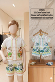 Boys Summer Outfit | size 20 to 24